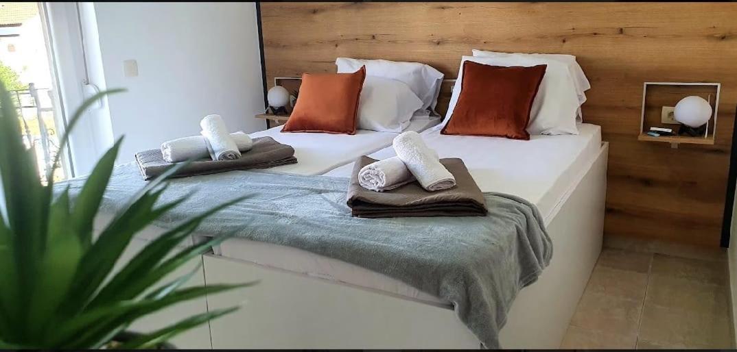 Villa Zorica Budva Dış mekan fotoğraf