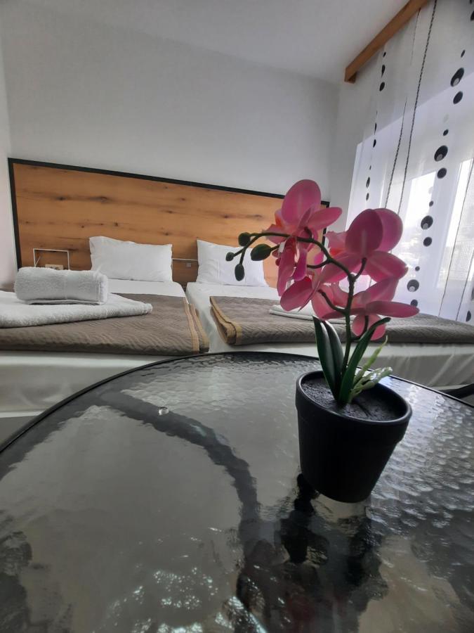 Villa Zorica Budva Dış mekan fotoğraf